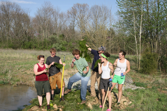 Full Size Image = 2390 K