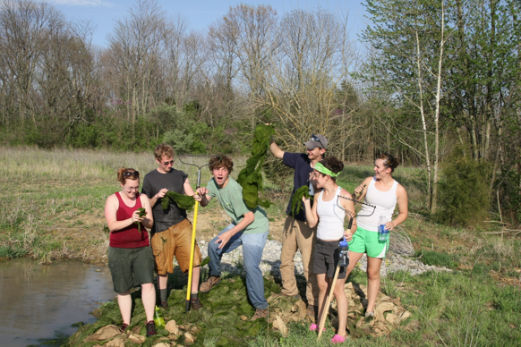 Full Size Image = 2408 K