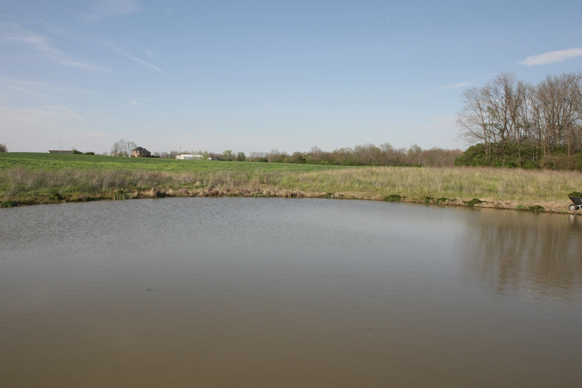 Full Size Image = 1177 K