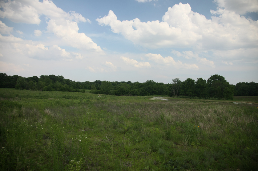 Full Size Image = 3689 K