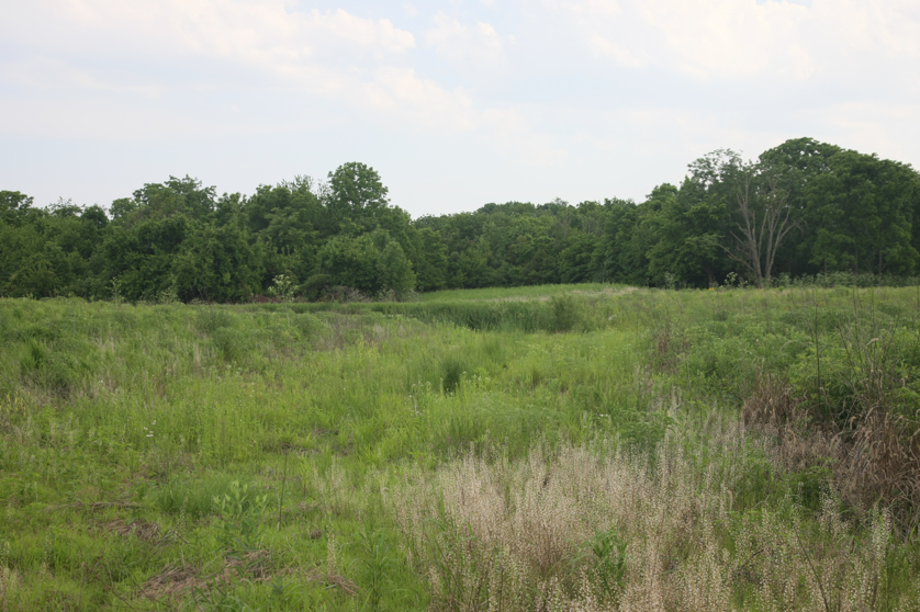 Full Size Image = 4920 K