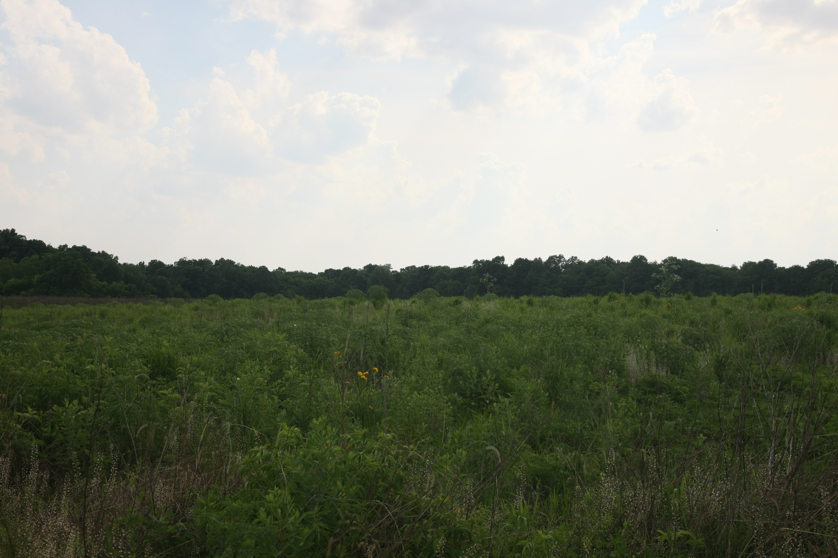 Full Size Image = 3571 K