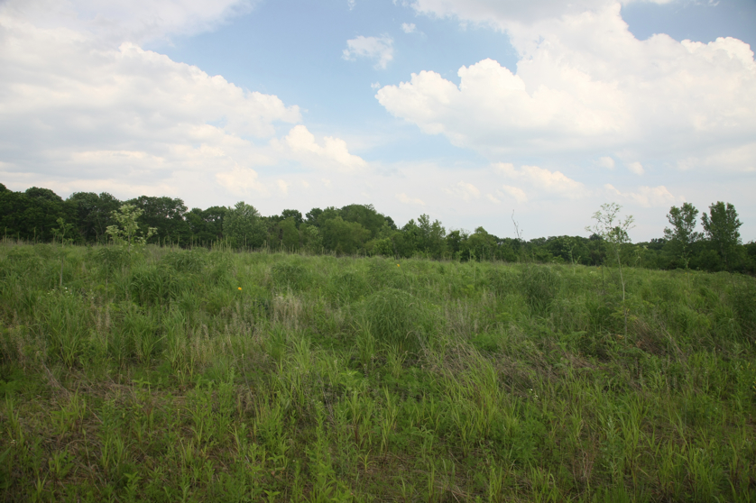 Full Size Image = 4502 K