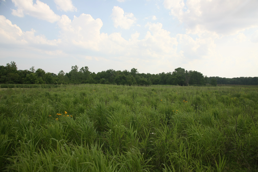 Full Size Image = 4028 K