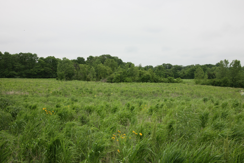 Full Size Image = 4476 K