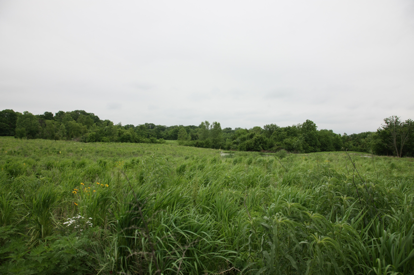 Full Size Image = 3955 K