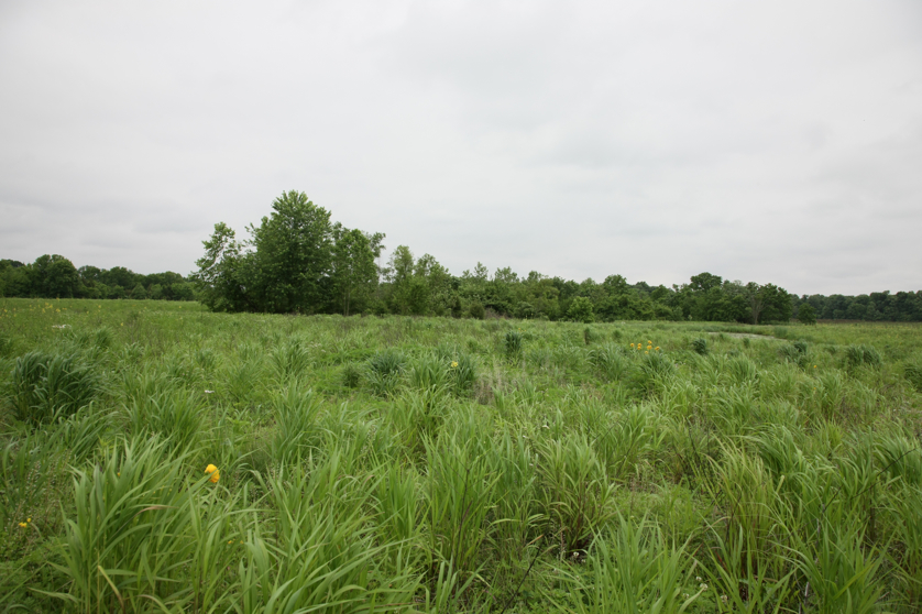 Full Size Image = 4237 K