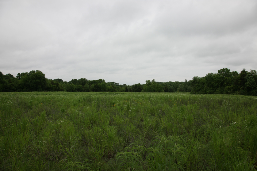 Full Size Image = 3776 K