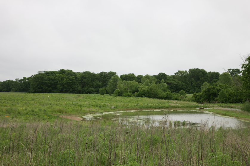 Full Size Image = 3916 K