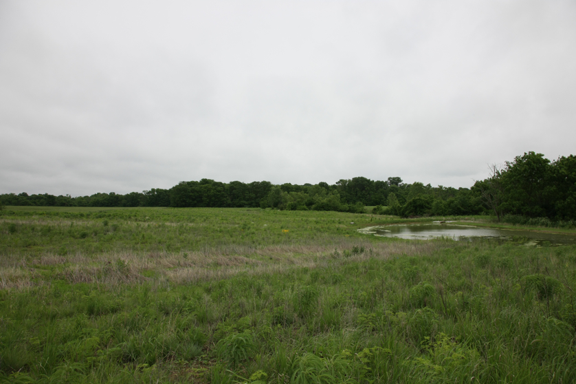 Full Size Image = 3763 K