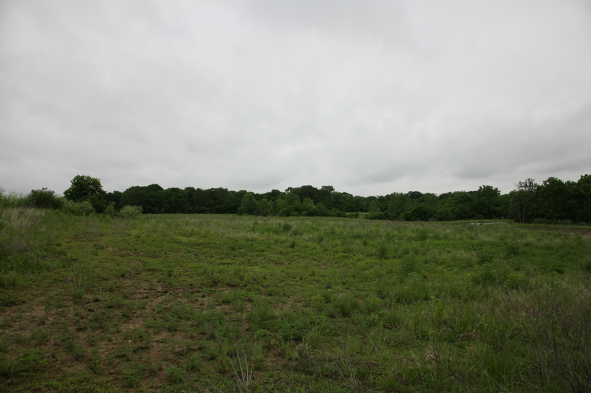 Full Size Image = 3613 K