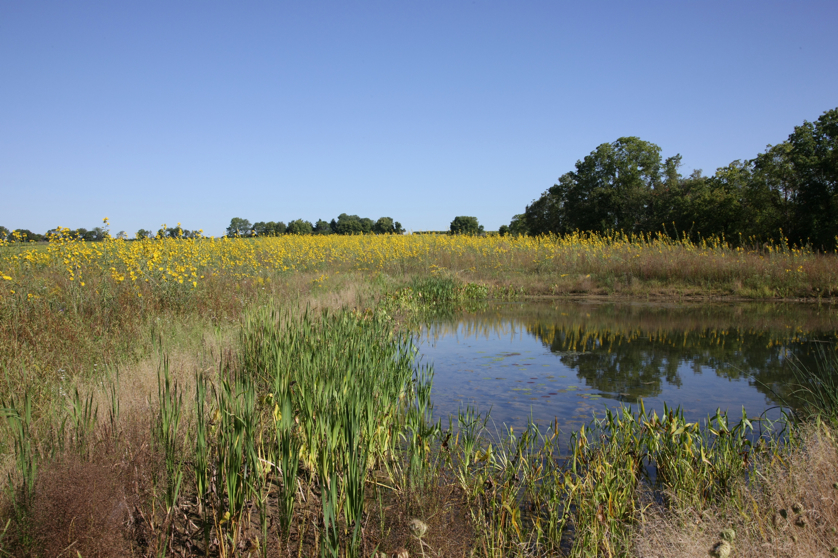 Full Size Image = 5417 K