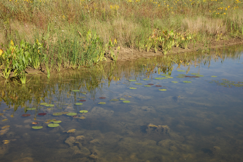 Full Size Image = 5370 K