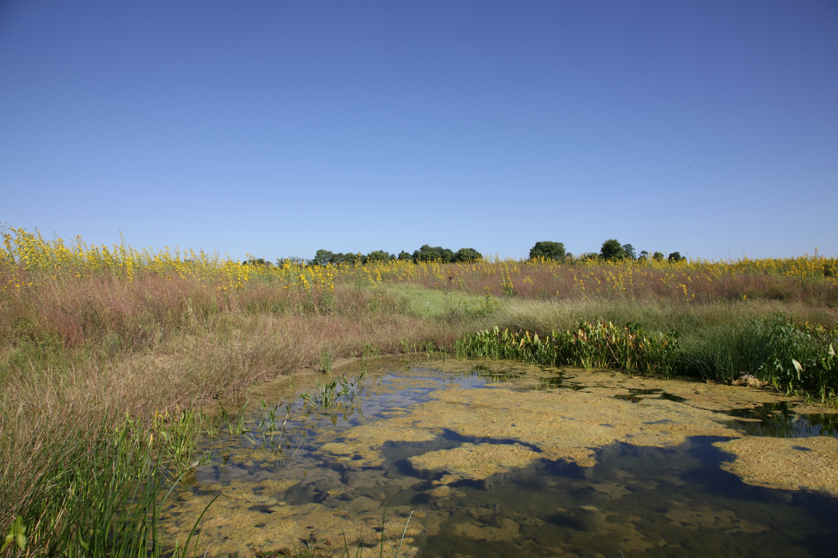 Full Size Image = 4483 K