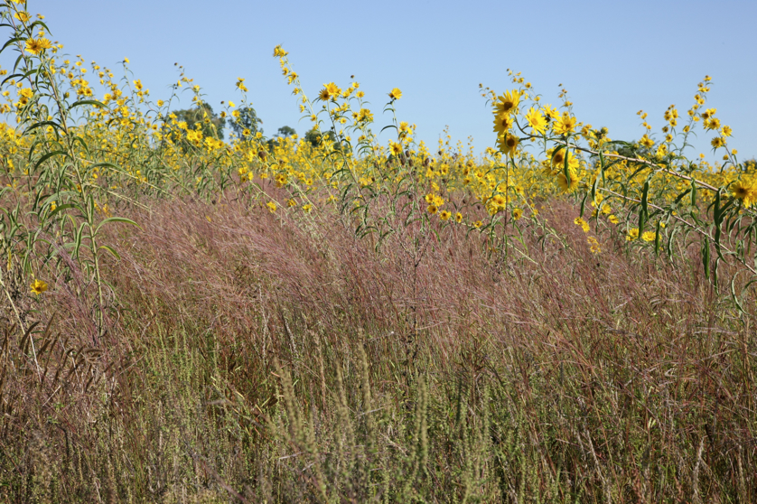 Full Size Image = 6570 K