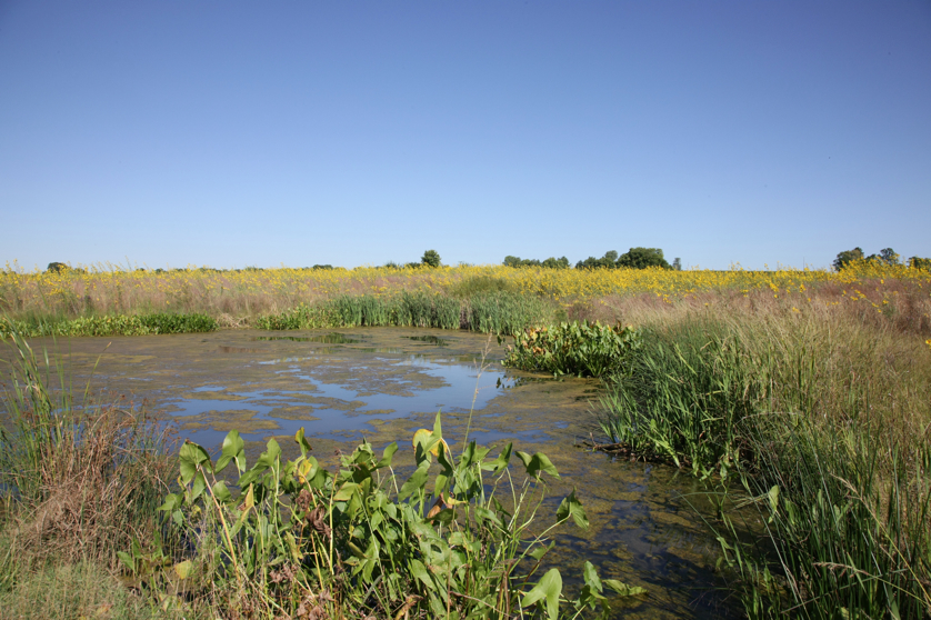 Full Size Image = 5064 K