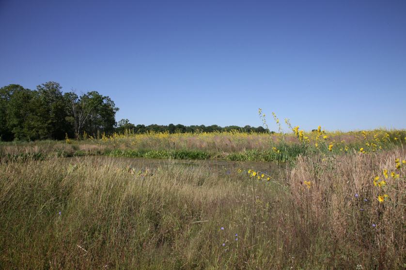 Full Size Image = 5201 K