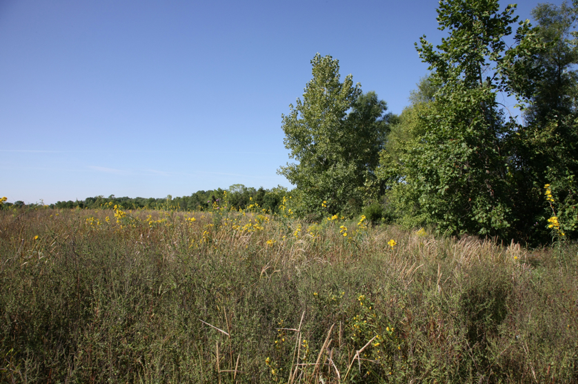 Full Size Image = 6248 K