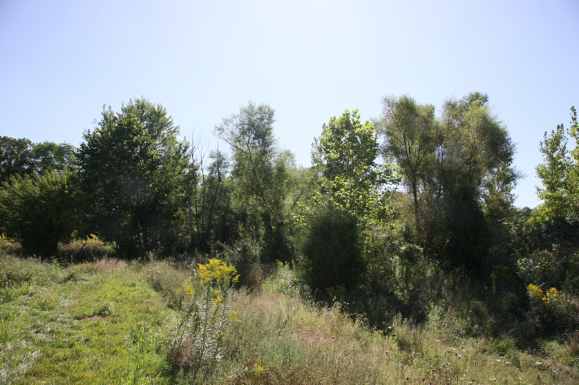 Full Size Image = 6030 K