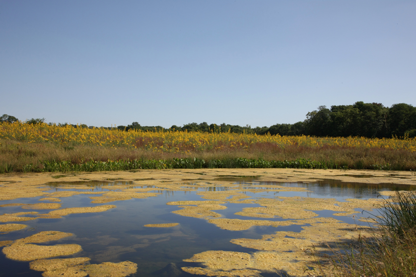 Full Size Image = 4404 K