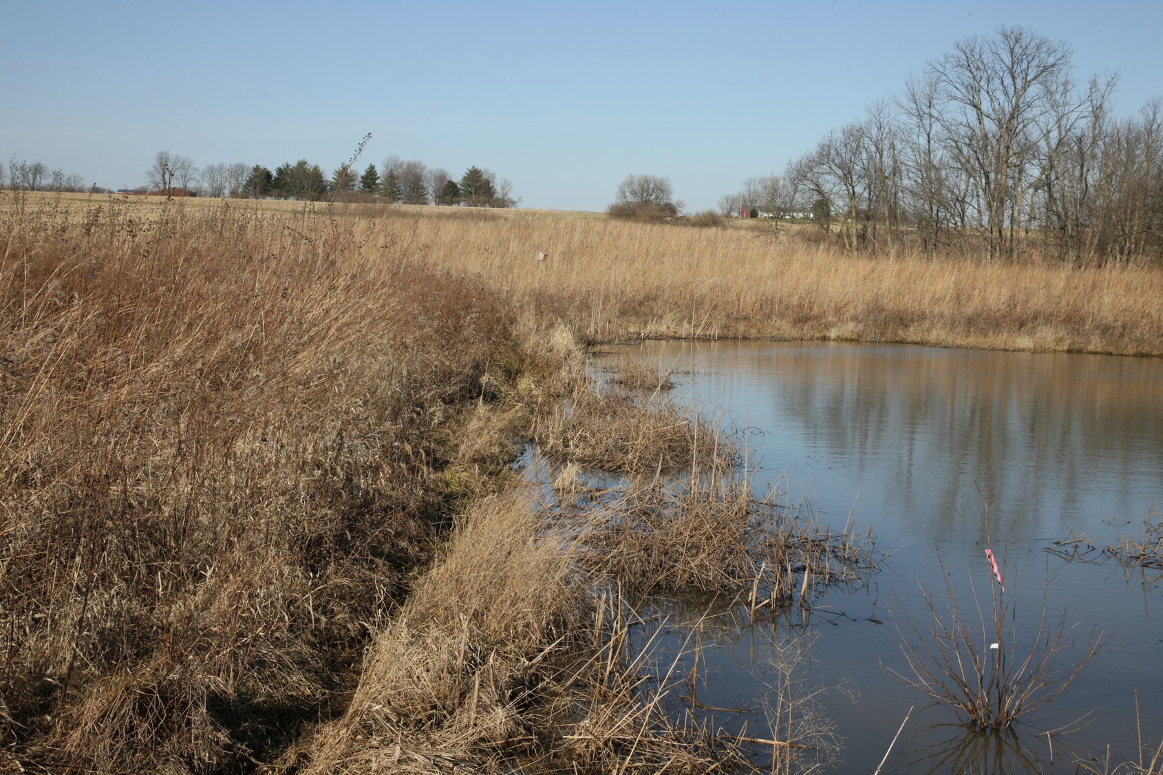 Full Size Image = 19467 K