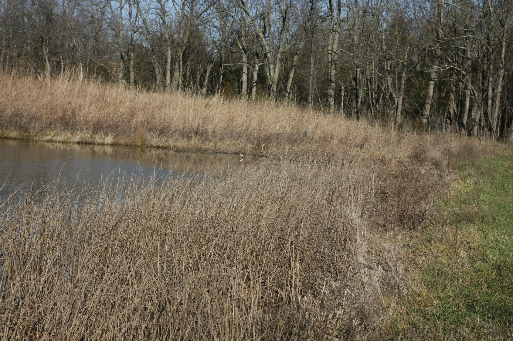 Full Size Image = 21462 K