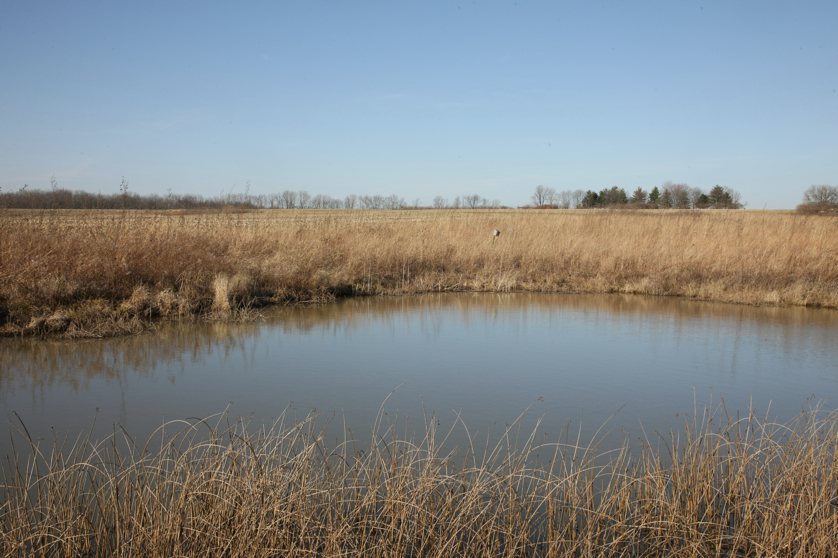 Full Size Image = 4608 K