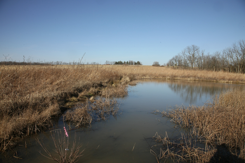 Full Size Image = 4624 K