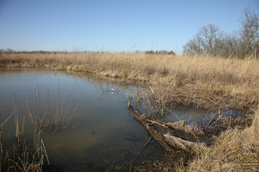 Full Size Image = 5231 K