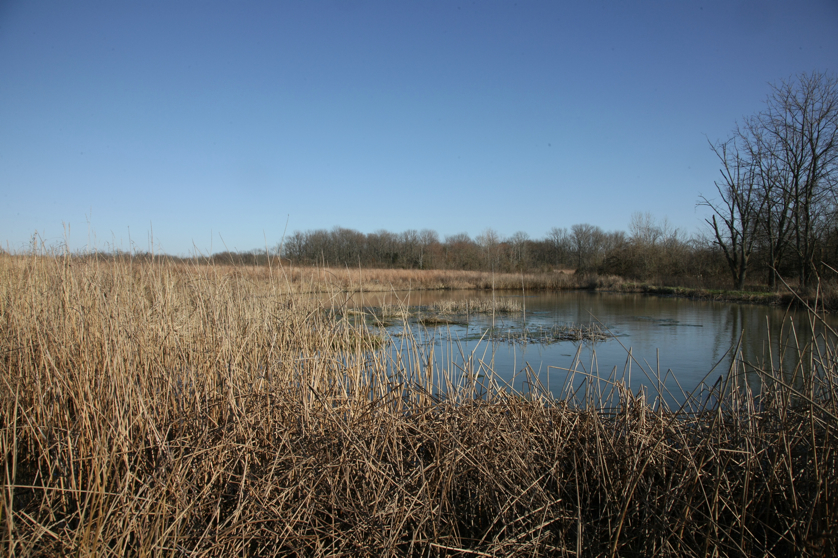 Full Size Image = 5271 K