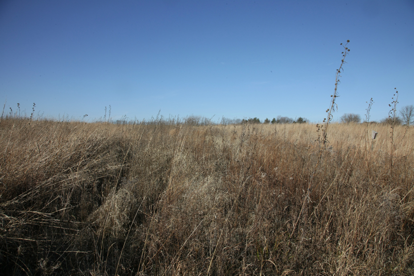 Full Size Image = 5281 K