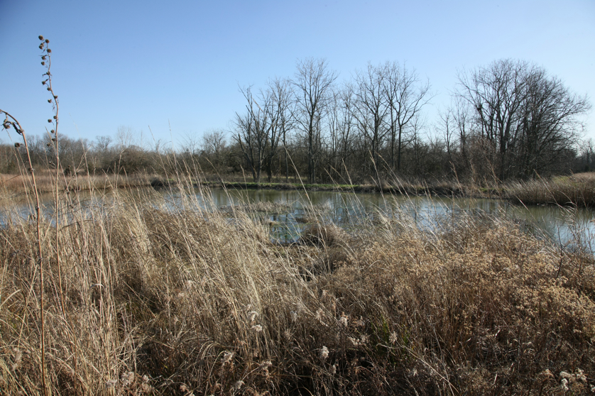 Full Size Image = 6571 K