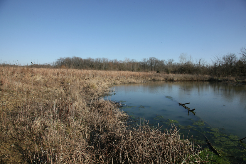 Full Size Image = 4998 K