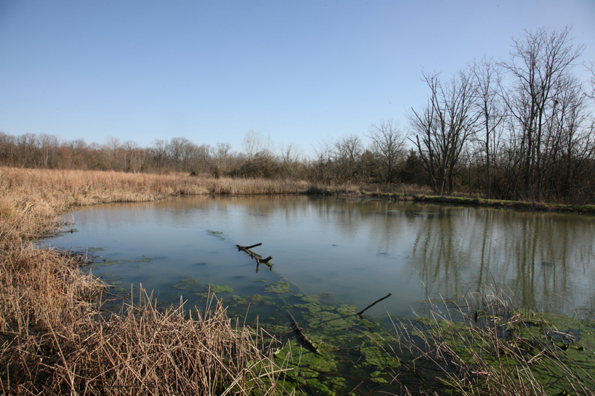 Full Size Image = 5199 K