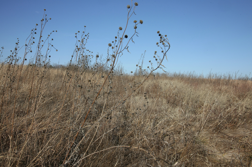 Full Size Image = 5725 K