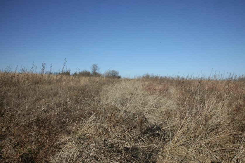 Full Size Image = 5424 K