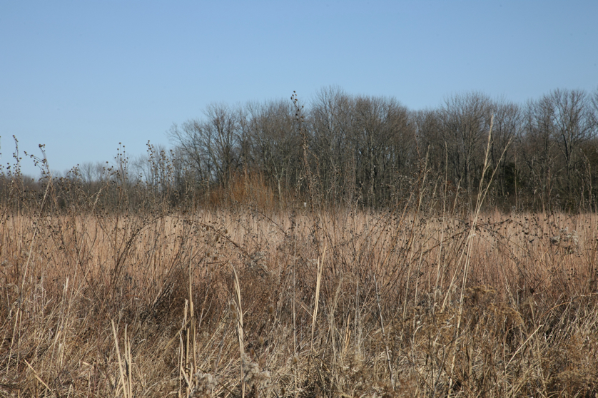 Full Size Image = 5659 K