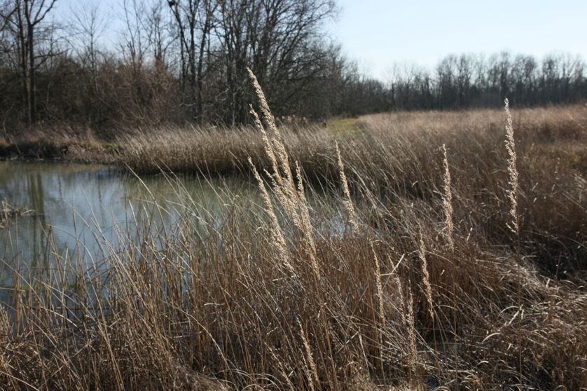 Full Size Image = 4749 K