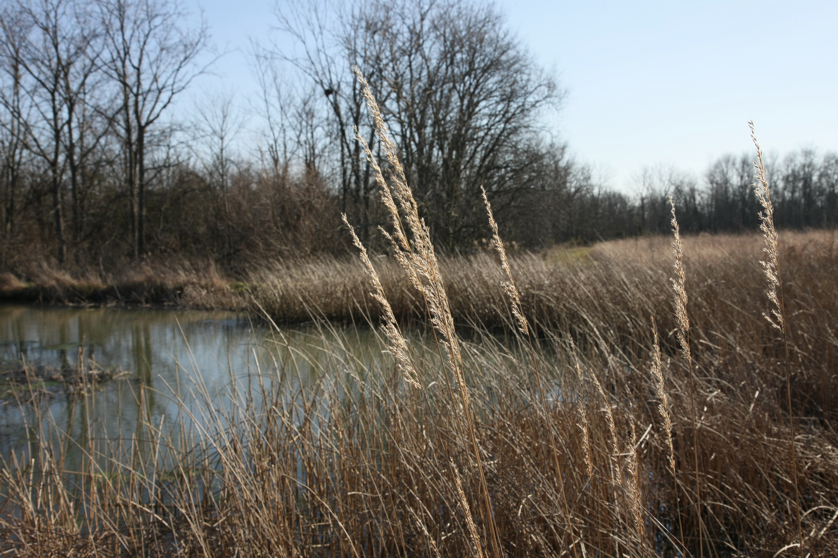 Full Size Image = 4370 K