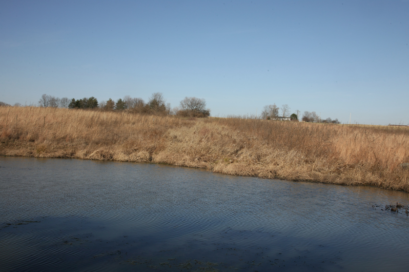 Full Size Image = 4049 K