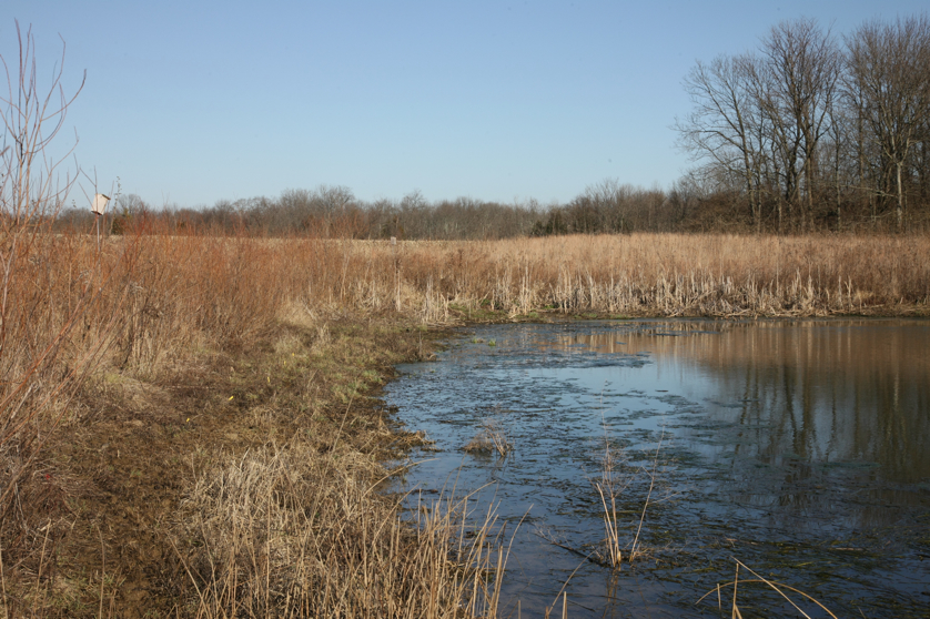 Full Size Image = 5685 K