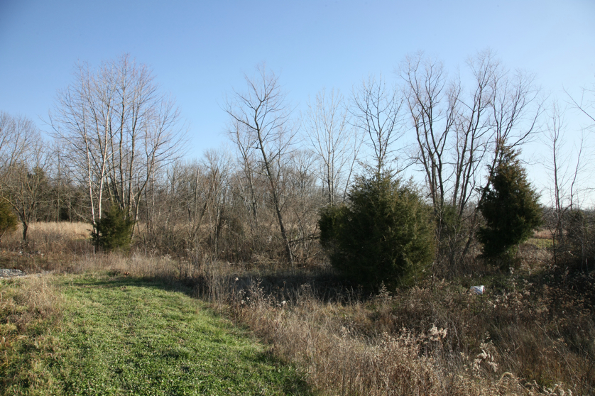 Full Size Image = 6550 K