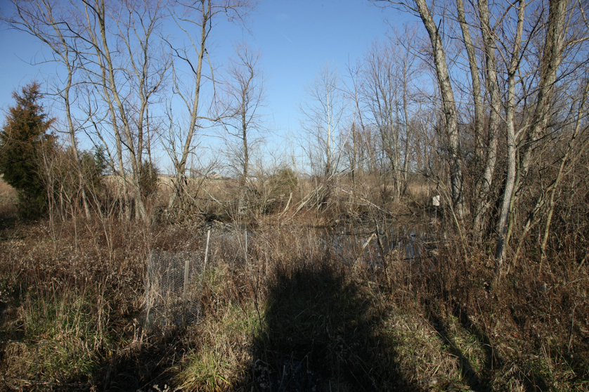 Full Size Image = 7170 K