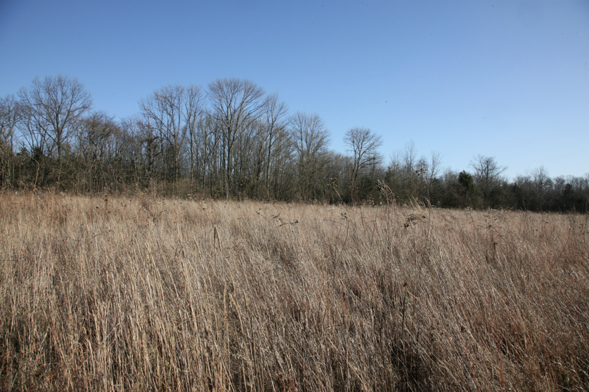 Full Size Image = 6106 K