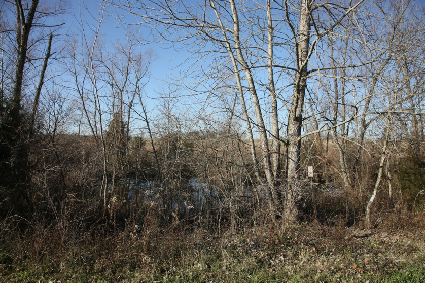 Full Size Image = 7965 K