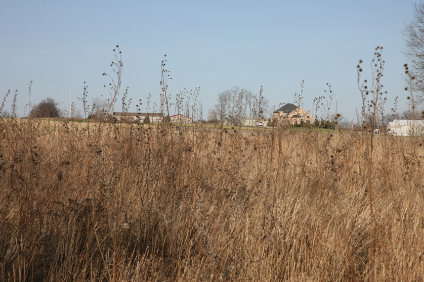 Full Size Image = 4916 K