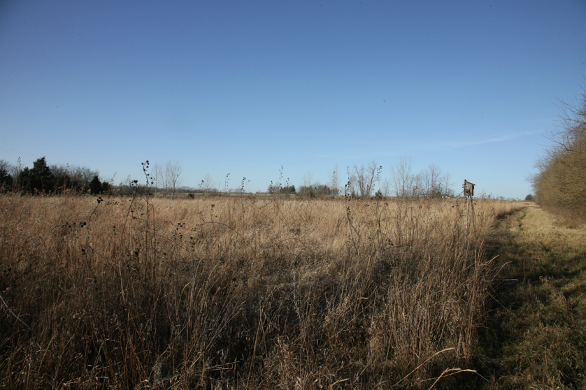 Full Size Image = 4935 K