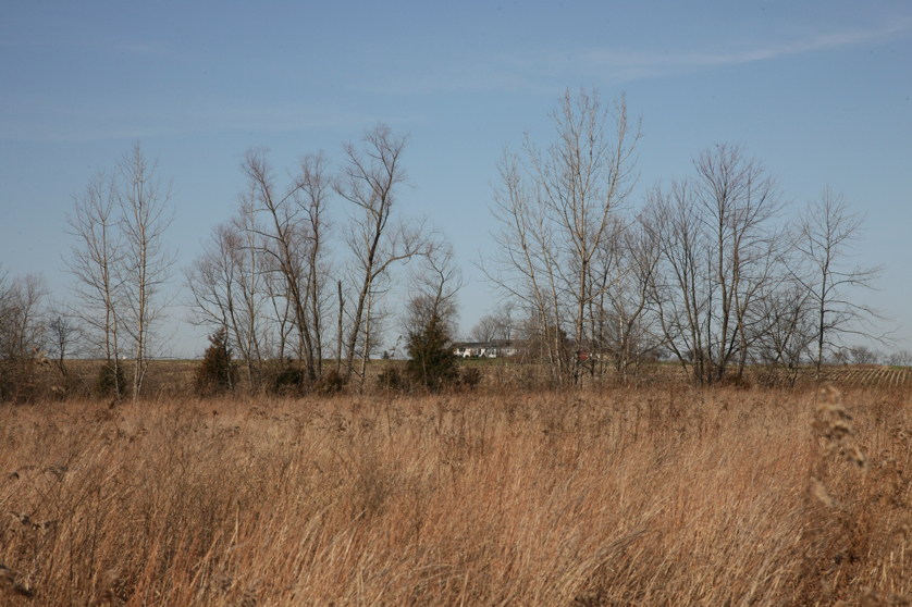 Full Size Image = 5052 K