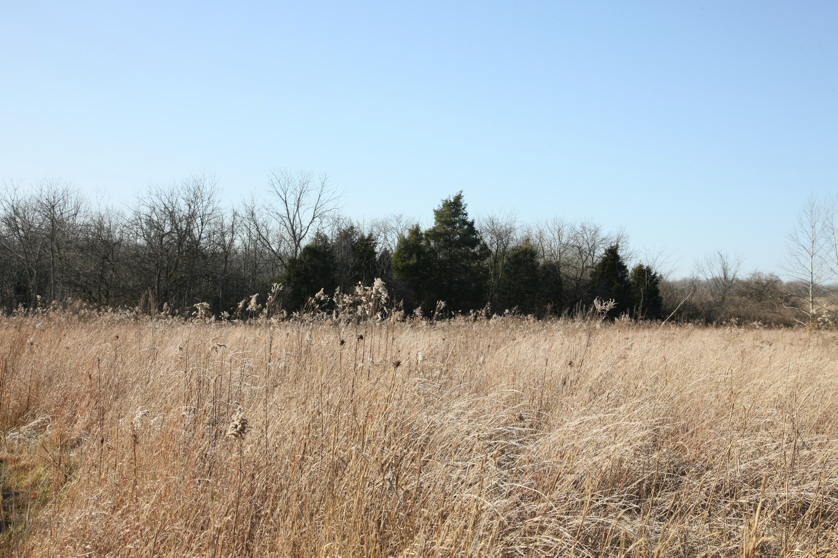 Full Size Image = 5655 K