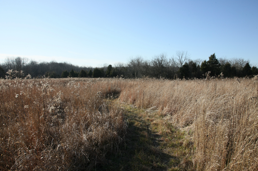 Full Size Image = 5449 K